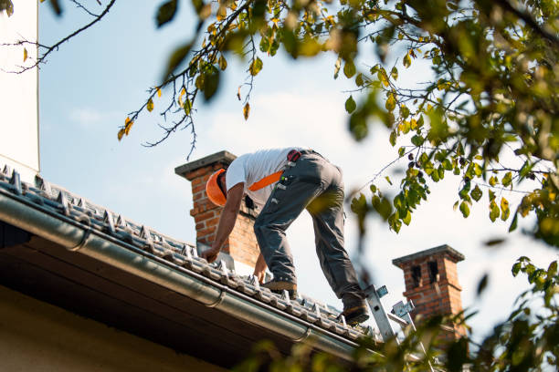Best Roof Waterproofing Services  in Maria Stein, OH