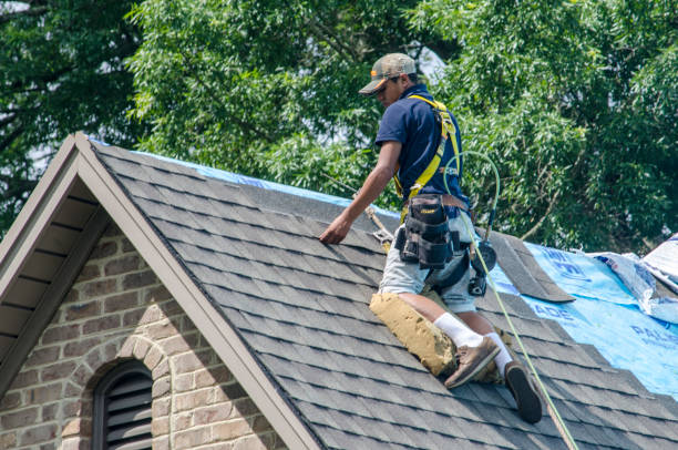 Best Storm Damage Roof Repair  in Maria Stein, OH